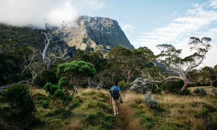 road-trip-a-la-reunion