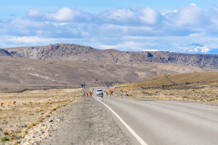 Paysage argentine